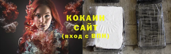 дживик Арсеньев
