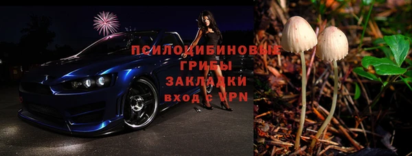 шишки Балахна