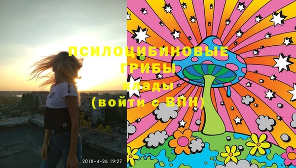 шишки Балахна