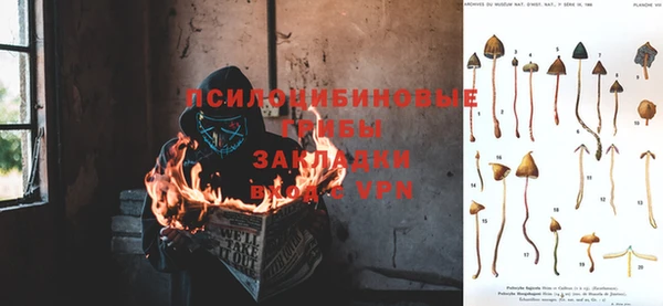 гашик Аркадак