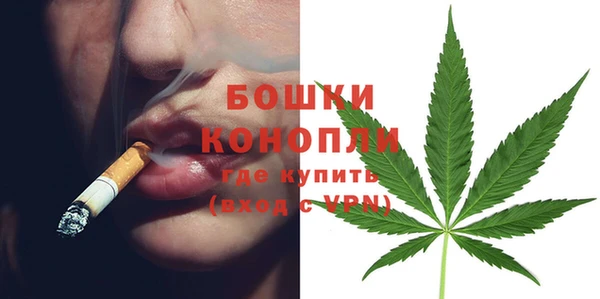 шишки Балахна