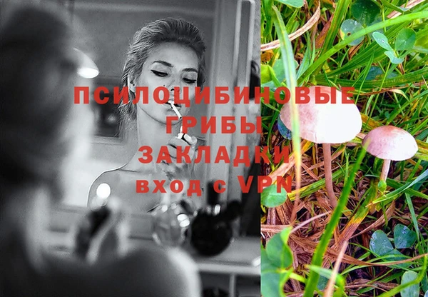 шишки Балахна