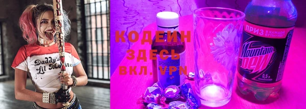 гашик Аркадак
