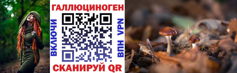 гидра зеркало  Прохладный  Галлюциногенные грибы мицелий  где продают наркотики 