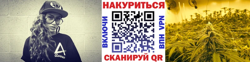 Канабис семена  ссылка на мегу онион  нарко площадка телеграм  Прохладный 